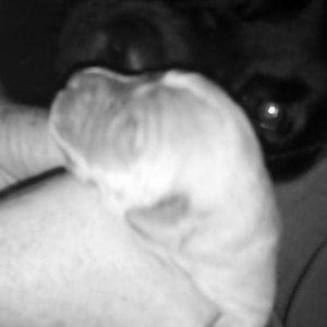 Meet your Posher, Gena